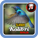 APK Suara Kolibri Ninja