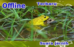 Suara Katak 截图 1