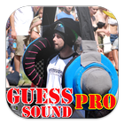 Guess Sound For Adults icon