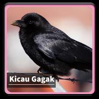 Kicau Suara Burung Gagak पोस्टर