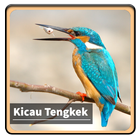 Kicau Suara Burung Tengkek ícone
