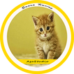 Suara Kucing Mp3