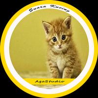 Suara Kucing Mp3 poster