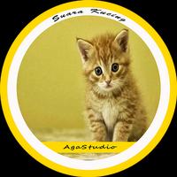 Suara Kucing Mp3 Affiche