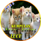 Suara Kucing icône