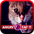 Suara Kucing Marah APK