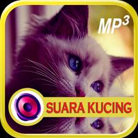 Suara Kucing Pengusir Tikus screenshot 3