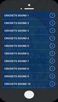 नई क्रिकेट आवाज स्क्रीनशॉट 1
