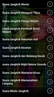 Suara Jangkrik Masteran MP3 screenshot 1