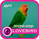 MP3 Lovebird声音 APK
