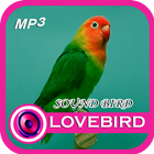 MP3 Lovebird Sound icono