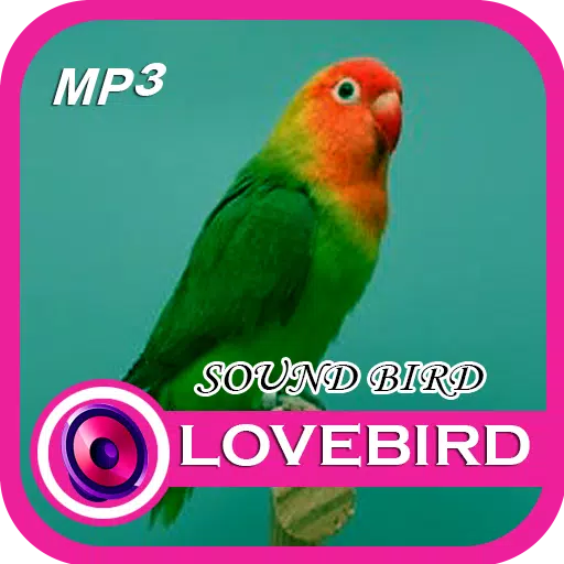 MP3 Lovebird Sound APK for Android Download