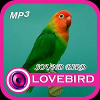 MP3 Lovebird Sound captura de pantalla 3