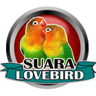 Suara Lovebird Ngekek Terbaru иконка