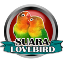 Suara Lovebird Ngekek Terbaru APK