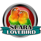 Latest Lovebird Voice ikon