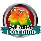 Latest Lovebird Voice icône
