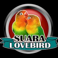 Suara Lovebird Ngekek Terbaru постер