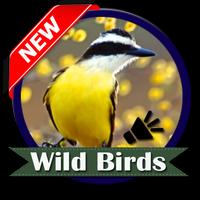 Wild Birds-poster
