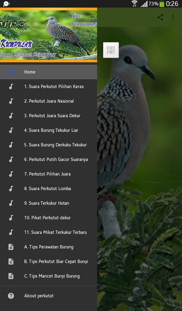 Aplikasi suara burung pikat