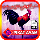 Suara Pikat Ayam Hutan APK