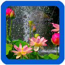 Nature Flowers Wallpaper APK