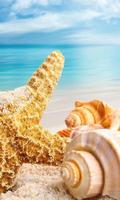 Summer Live Wallpaper স্ক্রিনশট 1