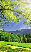 Summer Live Wallpaper স্ক্রিনশট 3