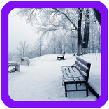 Winter Live Wallpaper