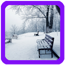 Winter Live Wallpaper APK