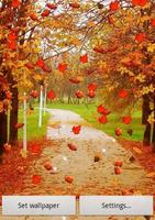 برنامه‌نما Autumn Live Wallpaper عکس از صفحه