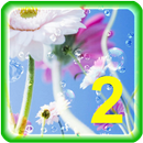 Flowers Live Wallpaper 2 APK