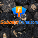 Truffes aux enchères APK