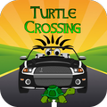 Turtle Crossing v.4