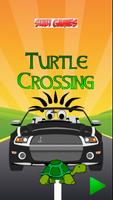 Turtle Crossing poster