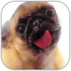 Descargar APK de Dog Lick Screen Cleaner