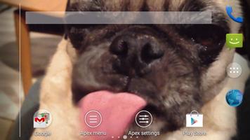 Poster Dog Lick Screen Cleaner