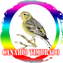 Canto de Canario Timbrado Espanol APK