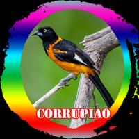 Canto de Femea Corrupiao স্ক্রিনশট 1