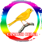 Canario Belga Campianha Mp3 ikona