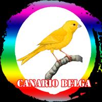 Canario Belga Campianha Mp3 截图 1