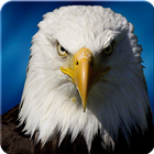 Ultimate Eagle Simulator 3d icône