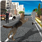 آیکون‌ Dog Chase Games 3D : A Police and Crime Simulator