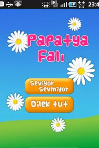 Papatya Falı APK for Android Download