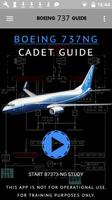 Boeing B737-8 NG Pilot Guide Affiche