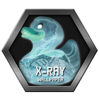 X-ray icon