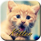 ikon Kitten Sounds