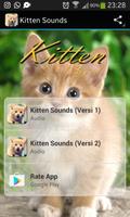 Kitten Sounds Poster