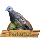 Master Perkutut Om icon