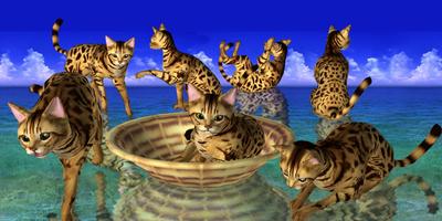 LOVE CAT!!  -Bengal cat (Unreleased) Affiche